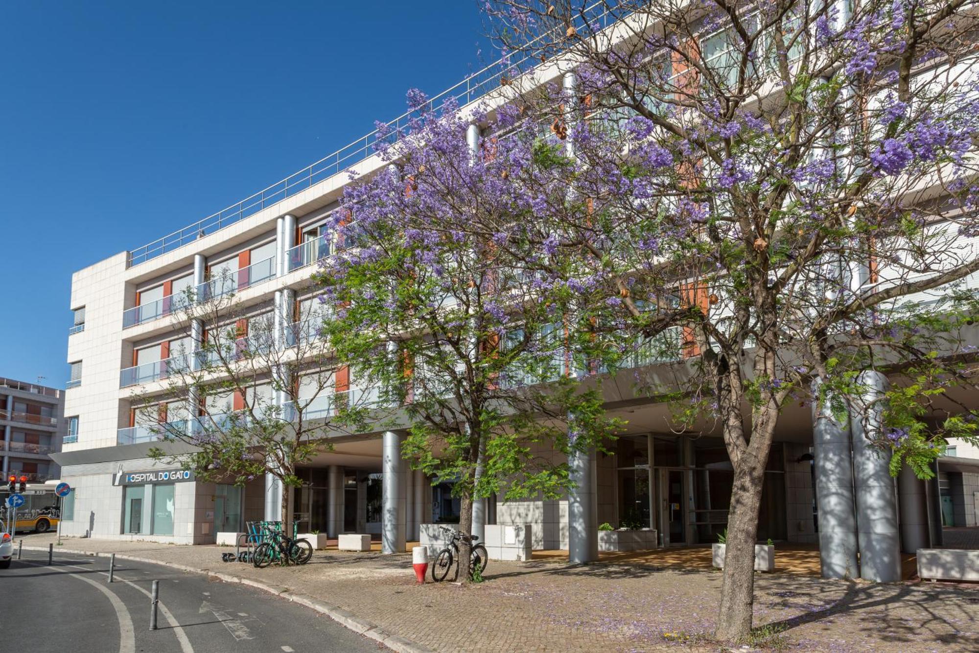Beguest Premium Lisbon Suites Экстерьер фото